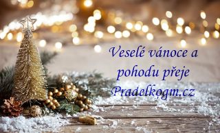 Veselé Vánoce a dny plné pohody přeje Pradelkogm.cz